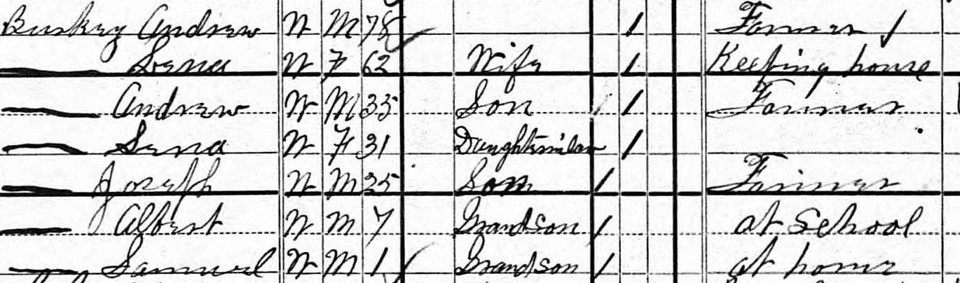 1880 Census, Burkey Family in Crete, NE