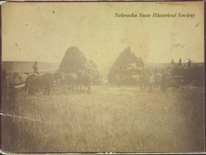Typical farm scene, 1880 Nebraska