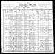 1900 Census for Salathiel Timmons family