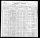 1900 Census data for Christian Pearson family