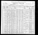 1900 census data for A. G. Brodd family