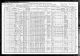 1910 census data for Peter William Pearson