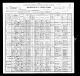 1900 census data for Peter William Pearson